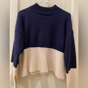navy and beige sweater